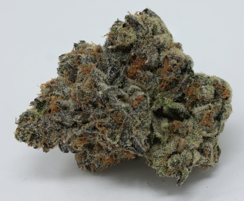 Mail order 420